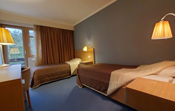 Standard room (separate beds)